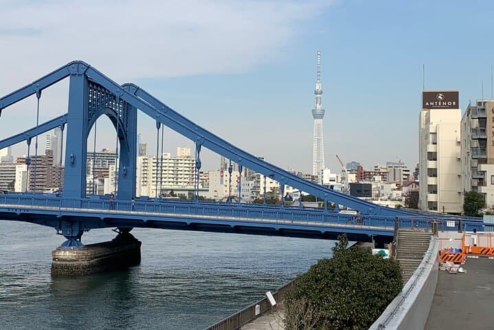 Tokyo shitamachi tour (old town walk) — photo 4