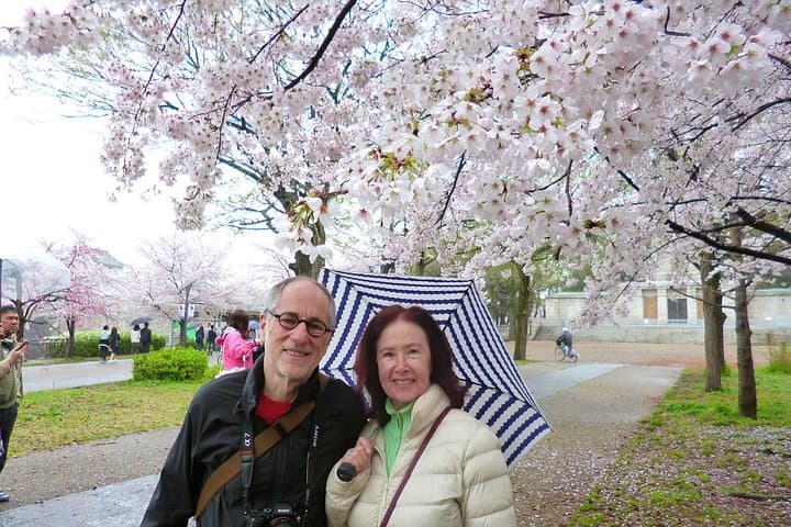 Osaka Castle and Sumiyoshi Taisha Shrine Private Half-Day Tour — photo 7