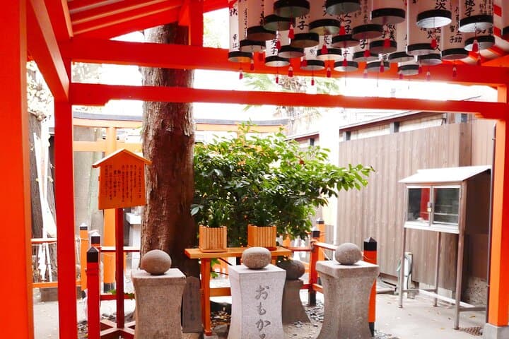 Osaka Castle and Sumiyoshi Taisha Shrine Private Half-Day Tour — photo 13