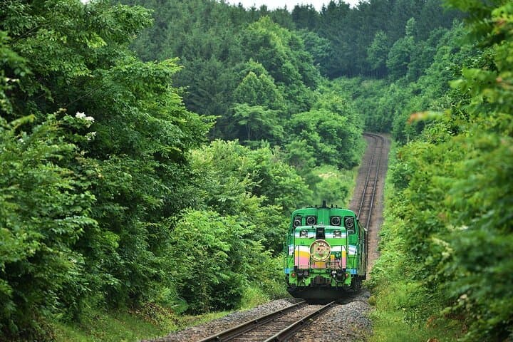 Furano & Biei 6 hour Tour: English Speaking Driver only, No Guide — photo 5