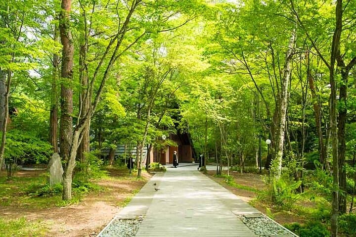 Karuizawa Full-Day Private Trip with Government-Licensed Guide — photo 6