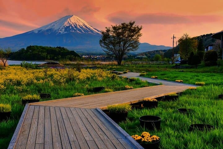 Mt. Fuji Five Lakes Area Private Tour with Licensed Guide(Kawaguchiko area Dep) — photo 5