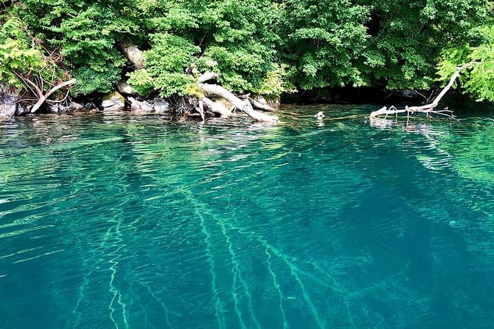 Oirase Gorge and Lake Towada Day Hike with Government-Licensed Guide — photo 6
