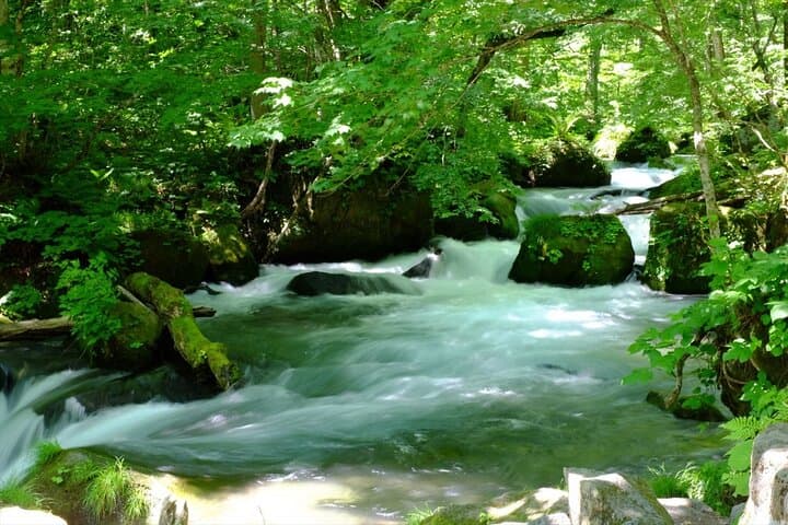 Oirase Gorge and Lake Towada Day Hike with Government-Licensed Guide — photo 2