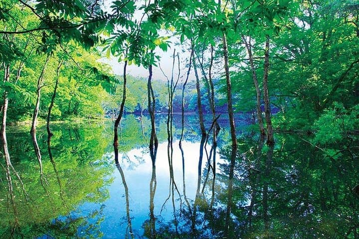 Shirakami Sanchi Day Hike with Government-Licensed Guide — photo 3