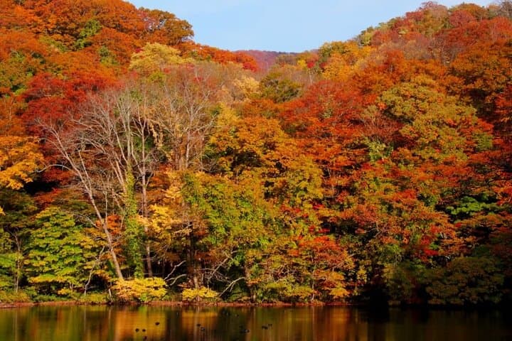 Shirakami Sanchi Day Hike with Government-Licensed Guide — photo 6