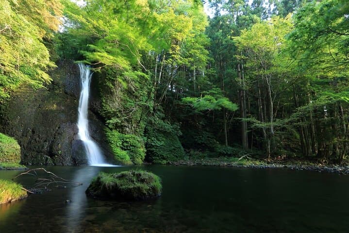 Shirakami Sanchi Day Hike with Government-Licensed Guide — photo 4