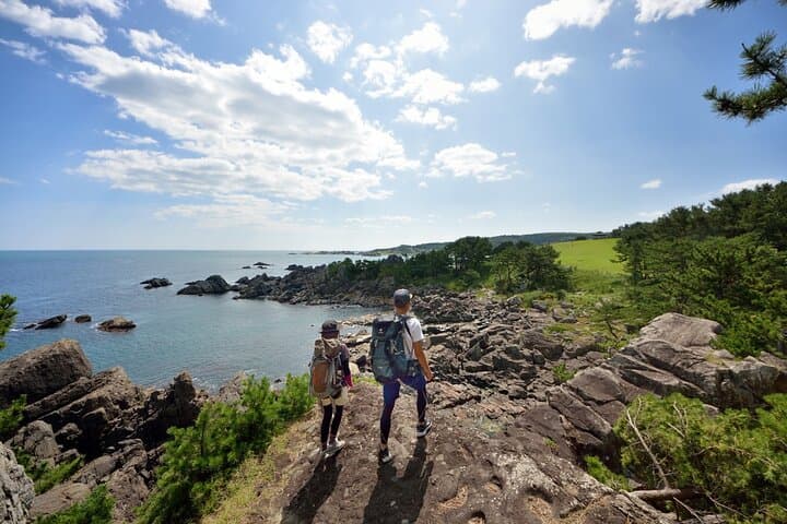 Hachinohe Full-Day Private Trip with Government-Licensed Guide — photo 3