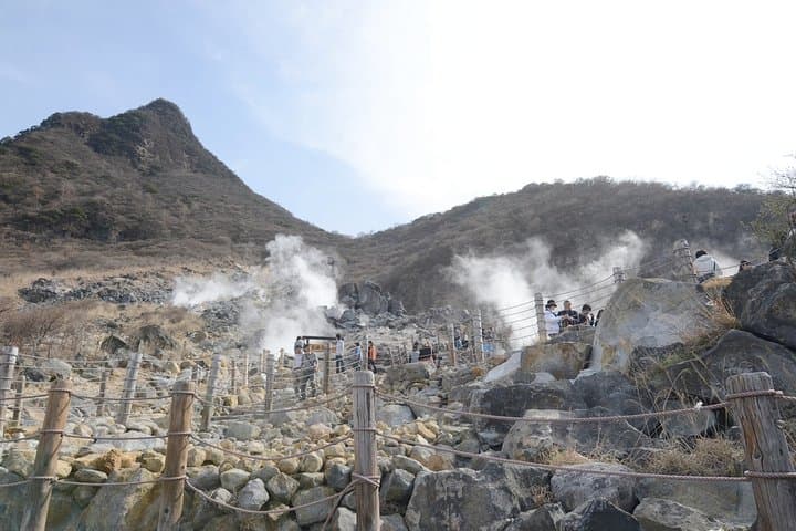 Hakone 6 hour Private Tour with Government-Licensed Guide — photo 3