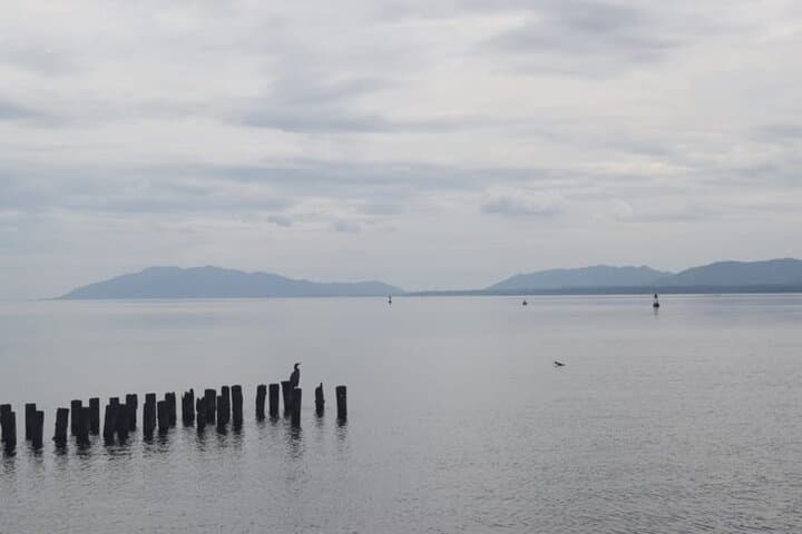 Matsue 4hr Private Tour with Government-Licensed Guide — photo 5