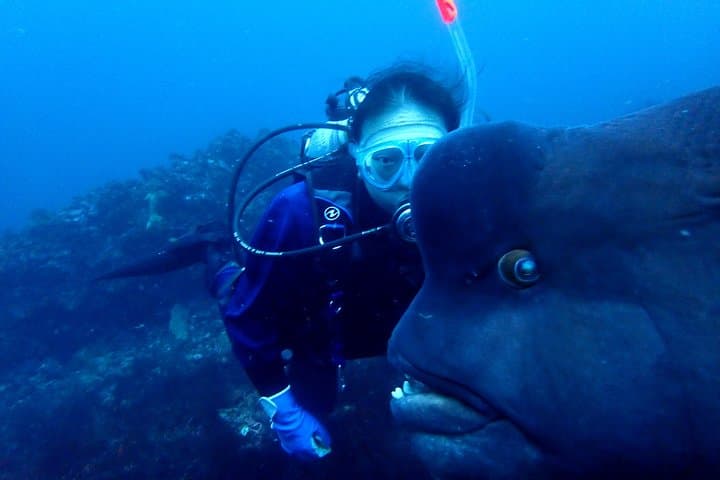 Let's enjoy Scuba diving in Izu Peninsula for certificate Diver — photo 6