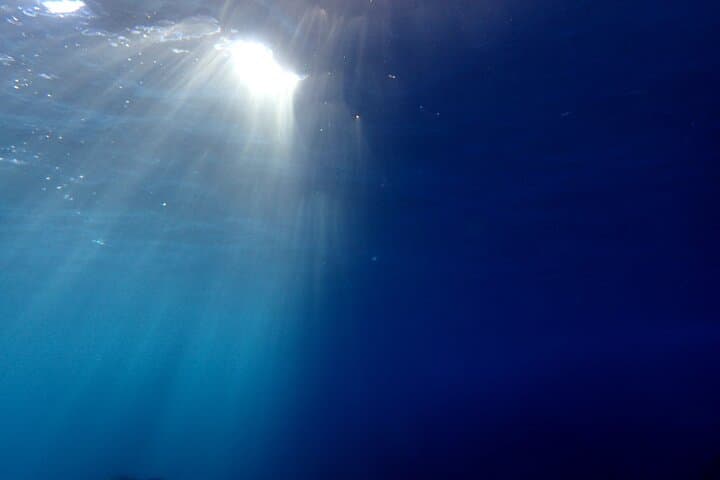 Let's enjoy Scuba diving in Izu Peninsula for certificate Diver — photo 9