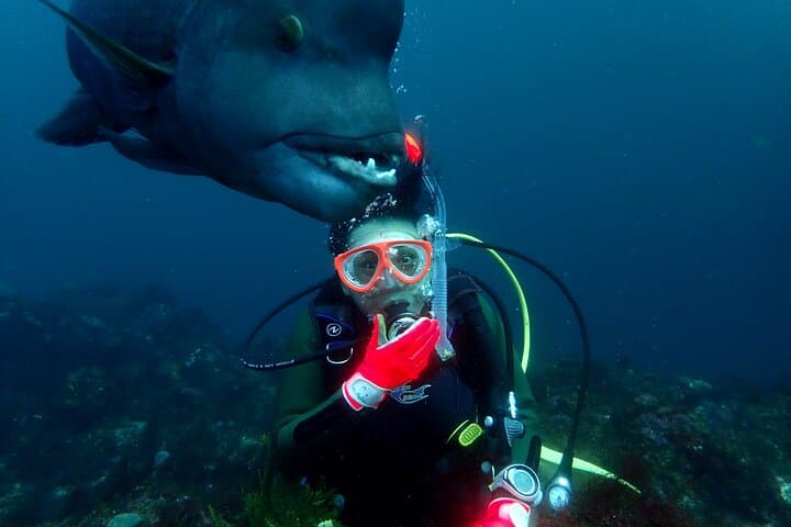 Let's enjoy Scuba diving in Izu Peninsula for certificate Diver — photo 11