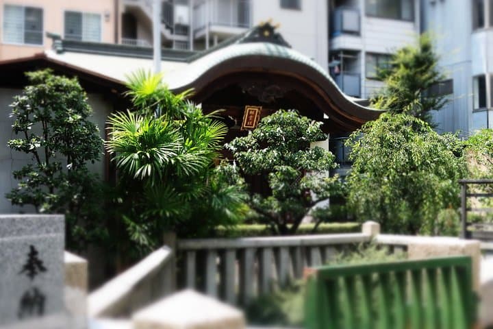 Osaka Castle and a visit to the longest shopping street in Japan — photo 8