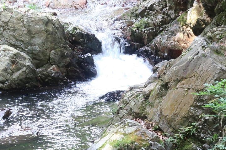 Minoh Waterfall and nature walk through the Minoh Park — photo 7