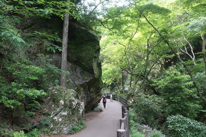 Minoh Waterfall and nature walk through the Minoh Park — photo 5