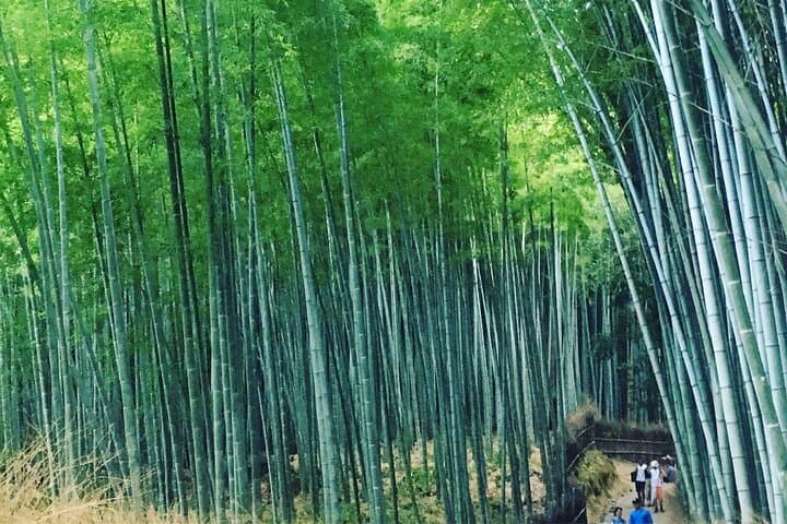 Private Full-Day Walking Tour of Kyoto — photo 3