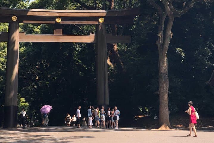 Tokyo Half-day Customized Private Tour — photo 2