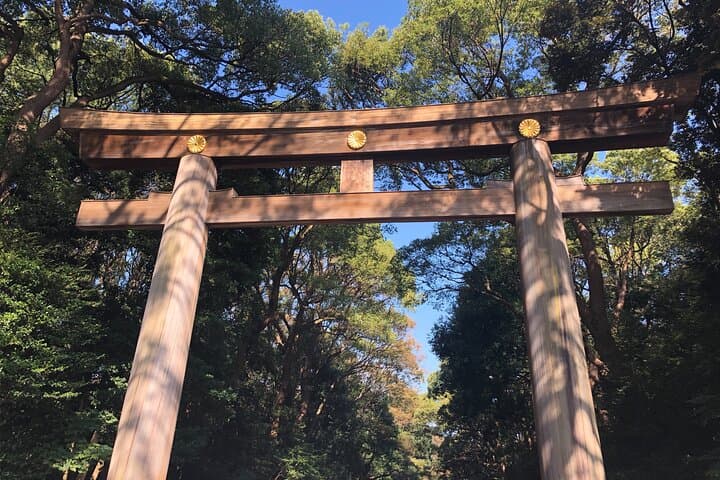 Introductory Tokyo Tour for the first timers: learn basic Travel tips and tricks — photo 6