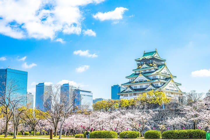 Osaka Private Day Trip - Enjoy Your First-Time Visit to Osaka! — photo 3