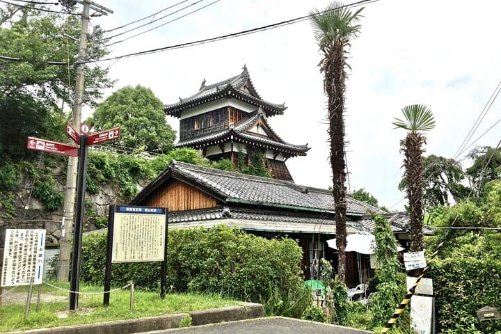 Full-Day Goldfish Unique Experience in Yamato-Koriyama — photo 4