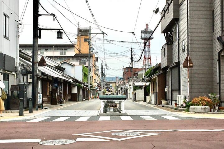 Full-Day Goldfish Unique Experience in Yamato-Koriyama — photo 2