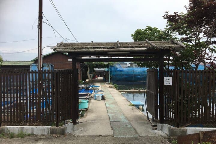Full-Day Goldfish Unique Experience in Yamato-Koriyama — photo 6