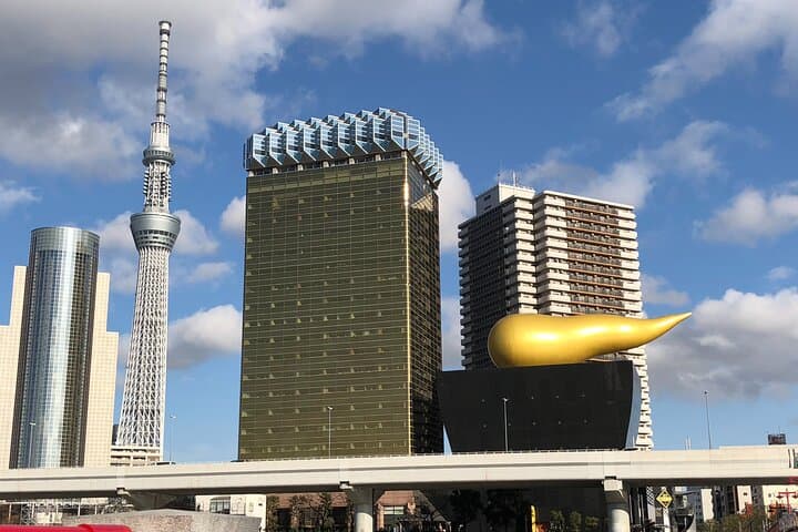 Tokyo Half-day Customized Private Tour — photo 14