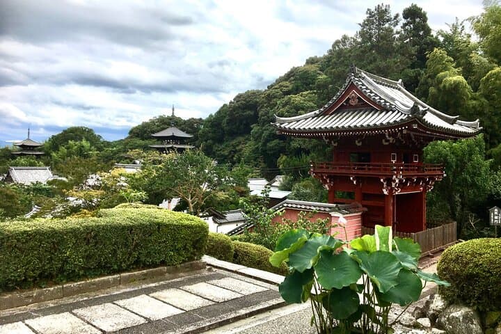 Full-Day Unique Sumo Experience in Katsuragi, Nara — photo 4