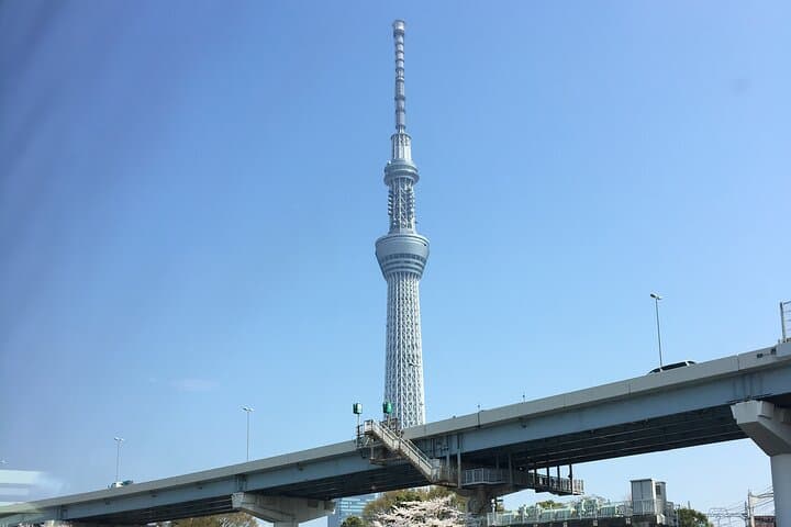 6-Hour-Tour Tokyo Highlights — photo 3
