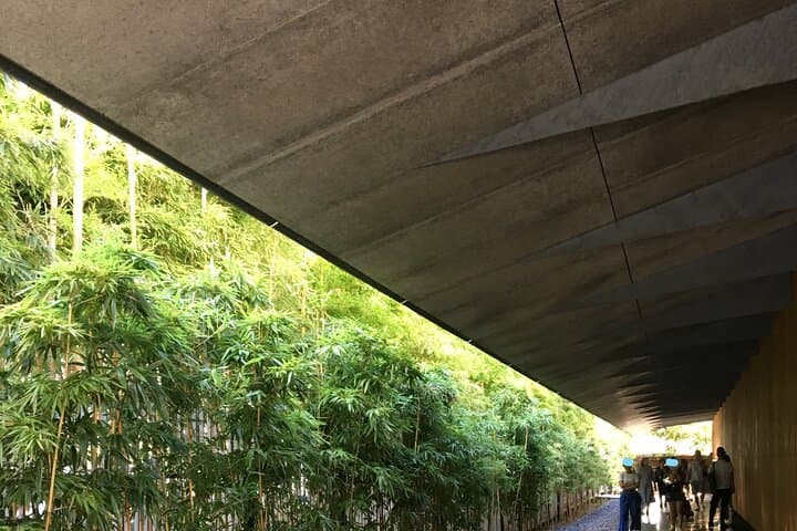 Tokyo Highlights Food and Culture — photo 4