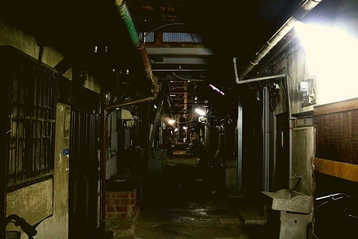 Deep Osaka Night Walking Tour with Optional Dinner — photo 2