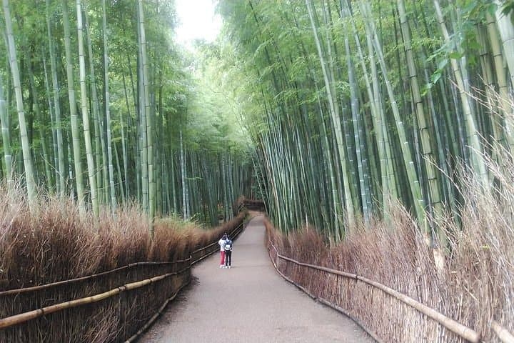 Kyoto Early Bird feat. Matcha Town Walking Tour — photo 6