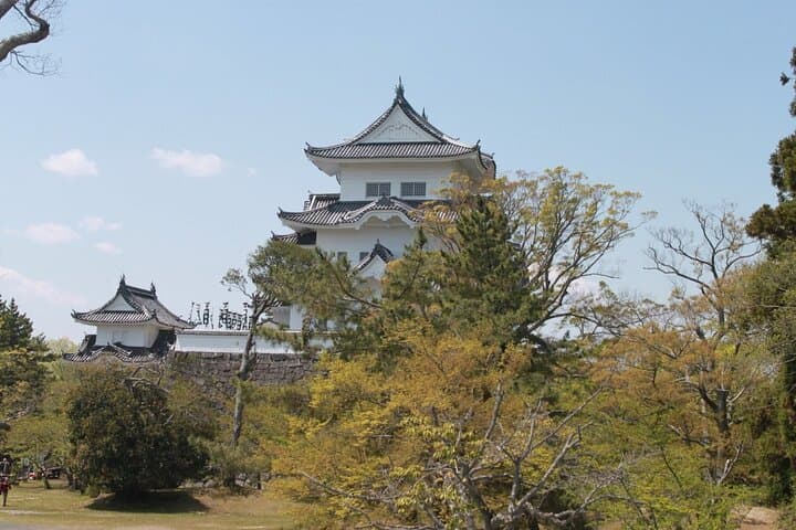 Full-Day Private Guided Unique Ninja Experience in Iga — photo 3