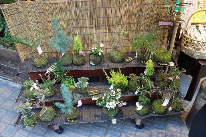 Tokyo highlights, Korakuen Garden, Kagurazaka Backstreet Walking — photo 9