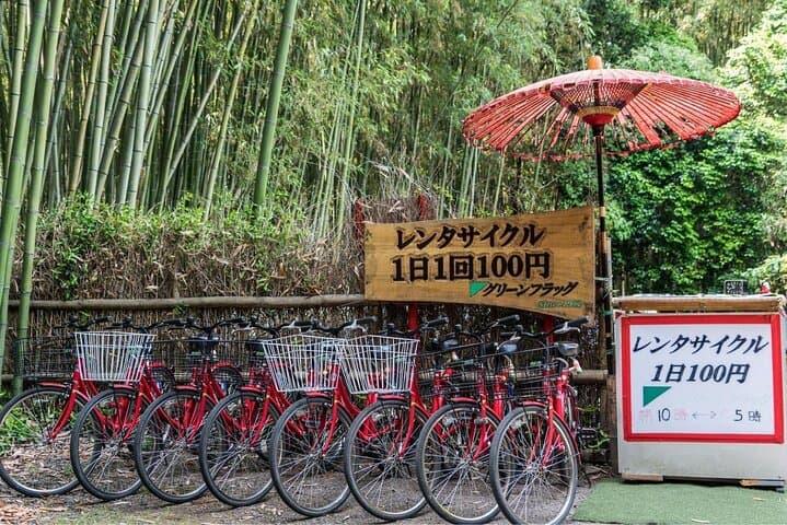 Arashiyama from Kyoto: Private & Personalized with a Local Guide — photo 7