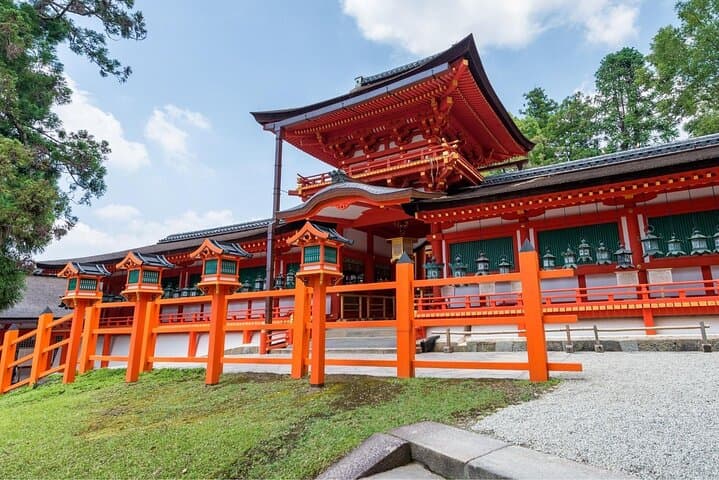 Osaka to Nara Day Trip with a Local – Private & Personalized — photo 5