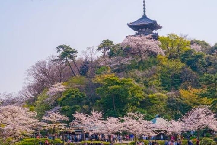 Yokohama Like a Local: Private & Personalized Experience 2,3 hrs — photo 8