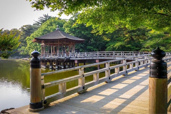 Kyoto Day Trip to Nara with a Local – Private & Personalized — photo 6