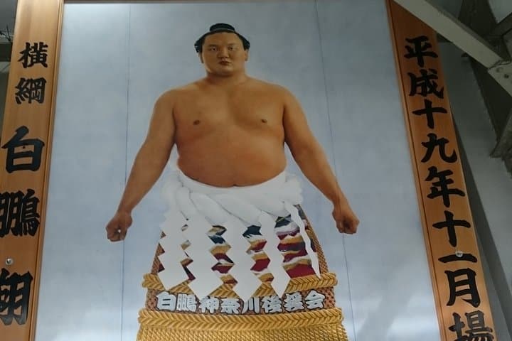 Tokyo high lights, Ukiyo-e, Japanese Sword Museums, Stroll Japanese Garden — photo 9