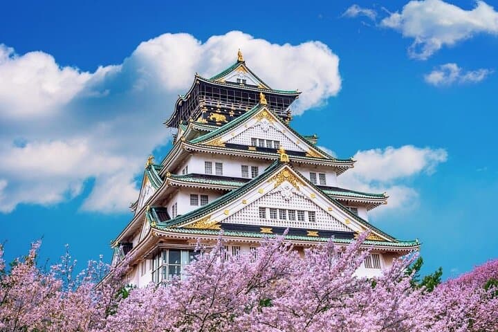 Osaka Private Cherry Blossom Tour with a Local – Picnic Included — photo 3