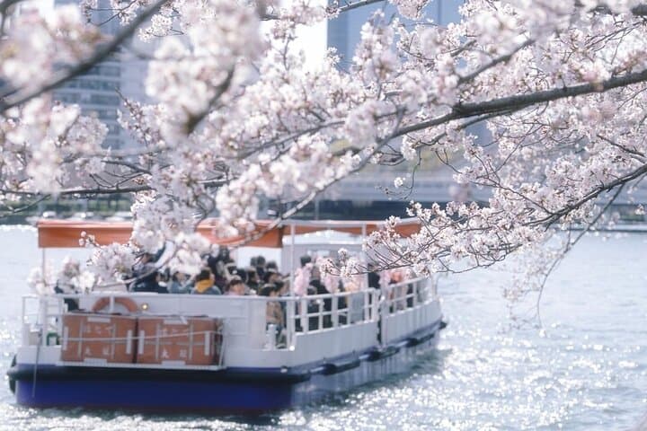 Osaka Private Cherry Blossom Tour with a Local – Picnic Included — photo 4