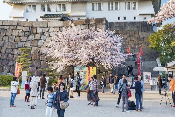 Osaka Private Cherry Blossom Tour with a Local – Picnic Included — photo 5