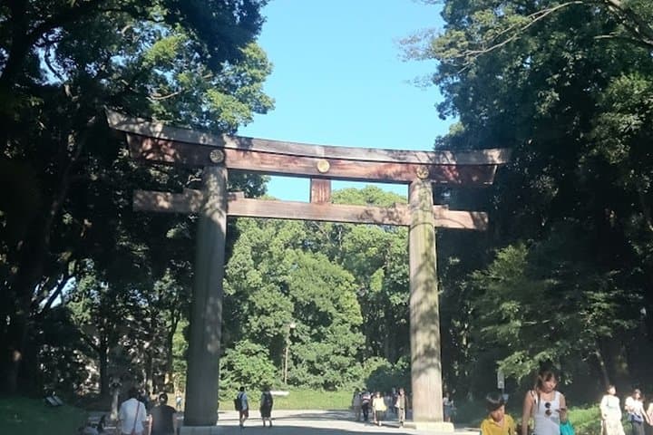 Tokyo highlights, High Rise Observatory, Meiji shrine, Imperial palace Garden — photo 5