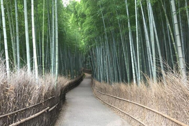 Full-Day Private Guided Tour to Kyoto, Arashiyama — photo 1