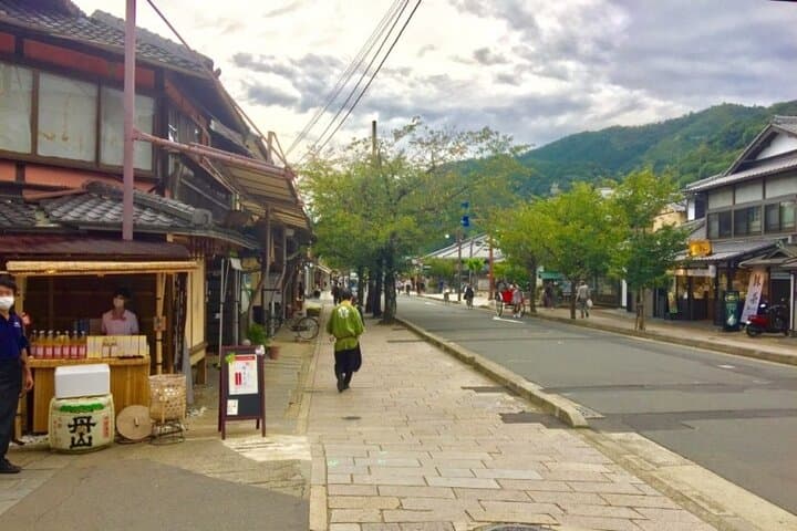 Full-Day Private Guided Tour to Kyoto, Arashiyama — photo 6