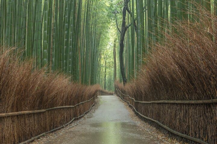 10 Must-see Spots in Kyoto One Day Private Tour — photo 3