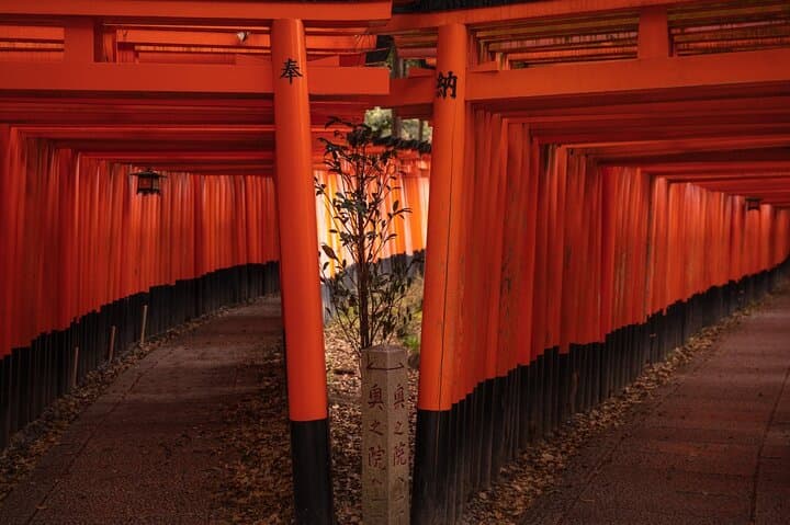 10 Must-see Spots in Kyoto One Day Private Tour — photo 6