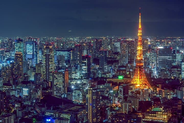 Tokyo City 1-Day Private Tour with Bilingual Driver — photo 5