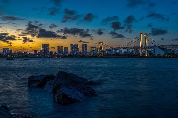 Tokyo City 1-Day Private Tour with Bilingual Driver — photo 4